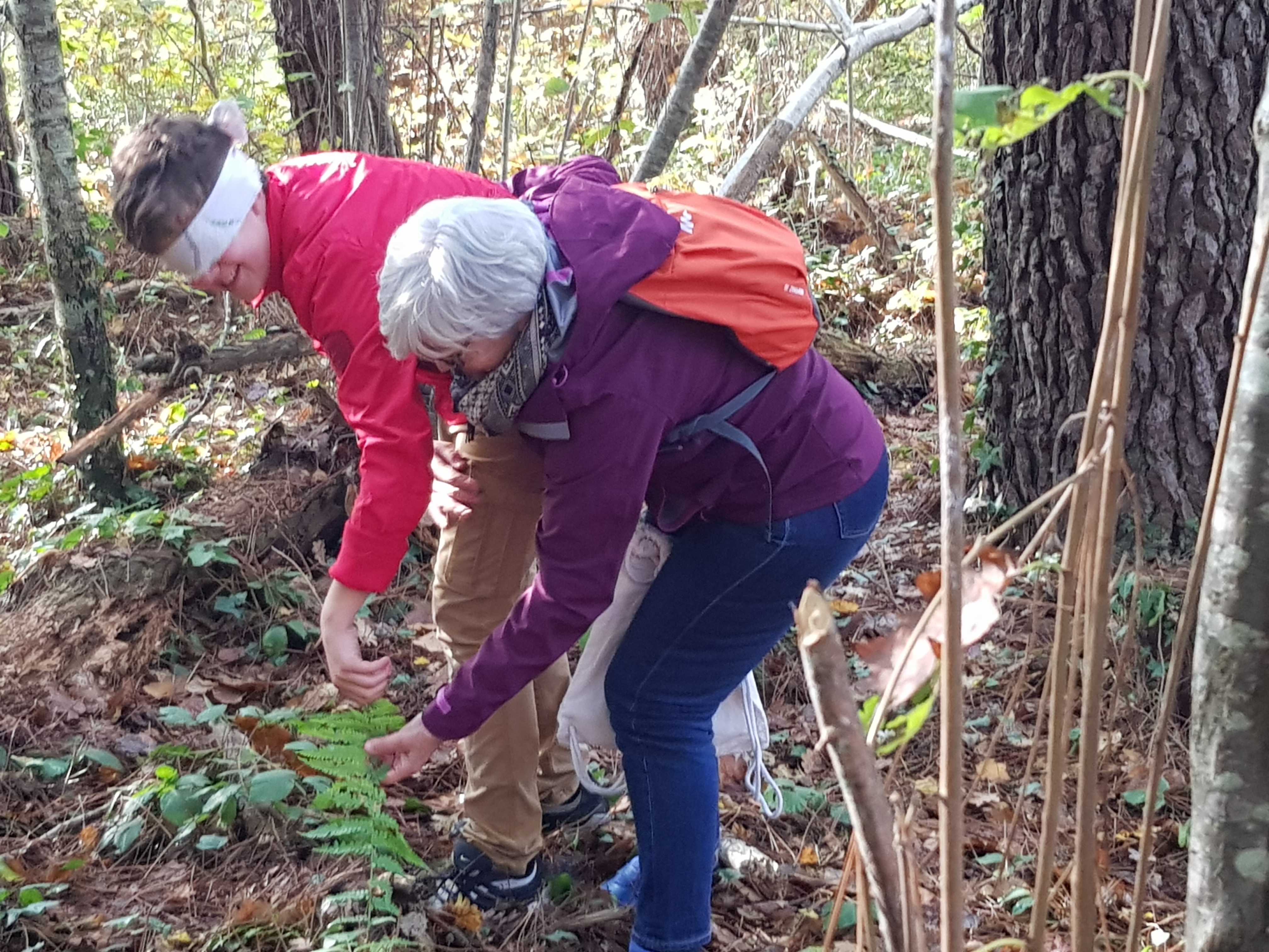 Réserve naturelle géologique de Saucats-La Brède, Saucats - photo 11