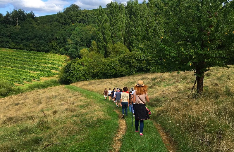 Balade vigneronne : Domaine Larroudé, Lucq-de-Béarn