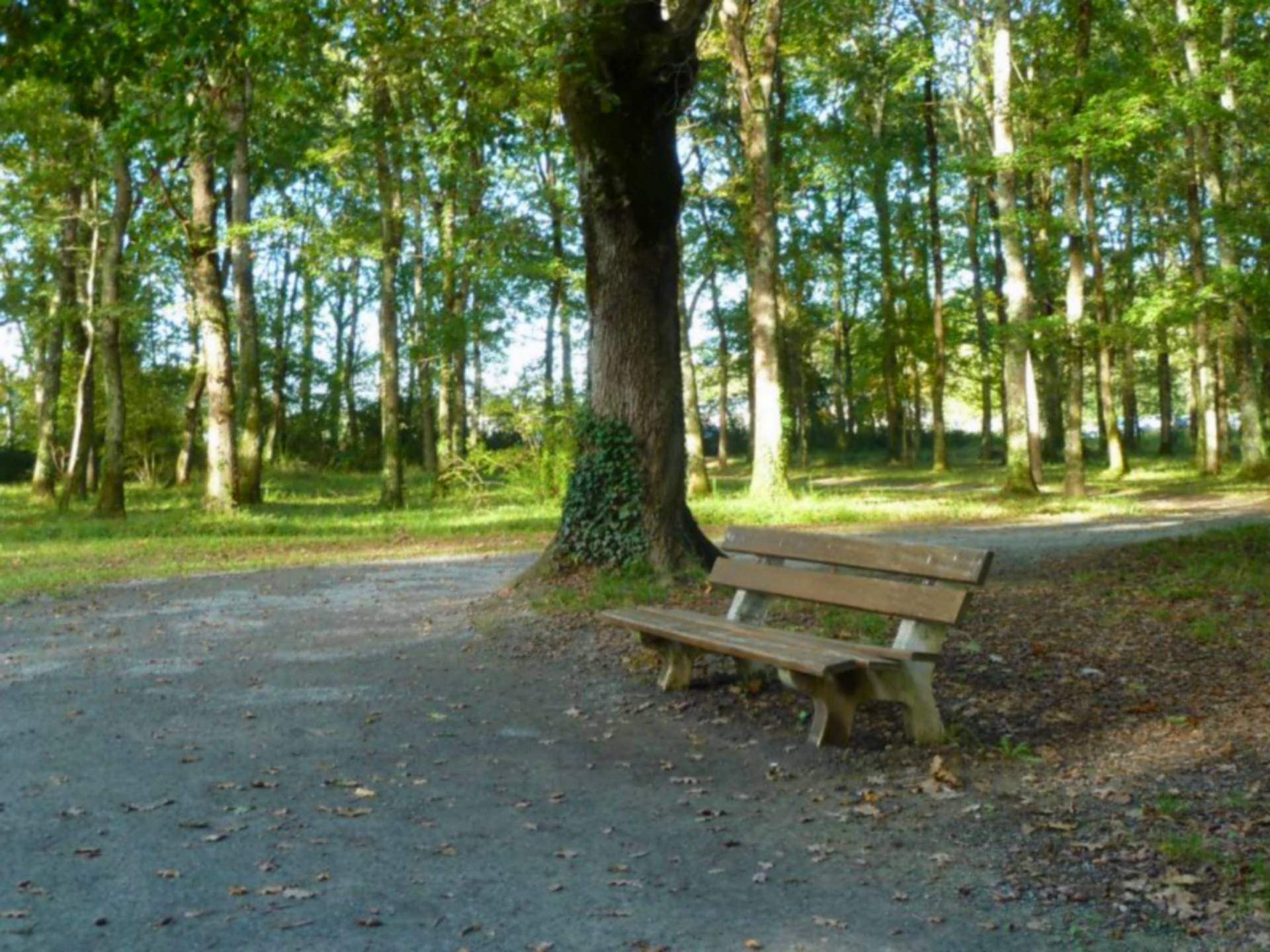 Balade à Roulettes n°30 Le Sentier des Chênes à Mourenx, Mourenx - photo 2