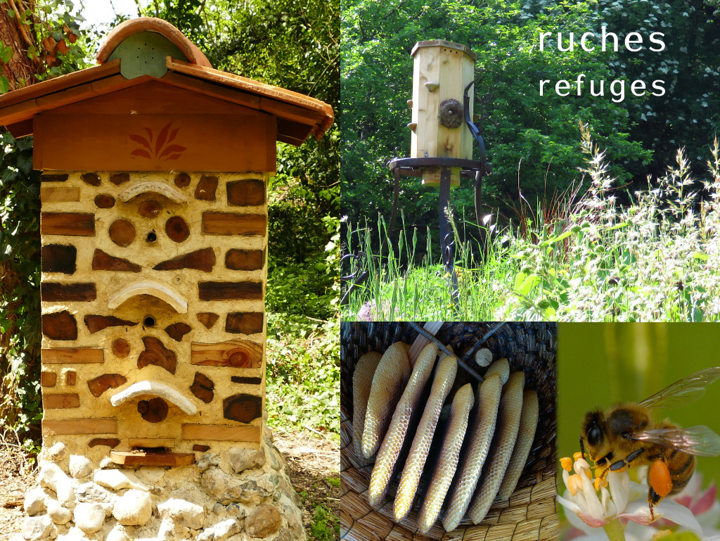 Animations abeilles, La Roche-l'Abeille - photo 4