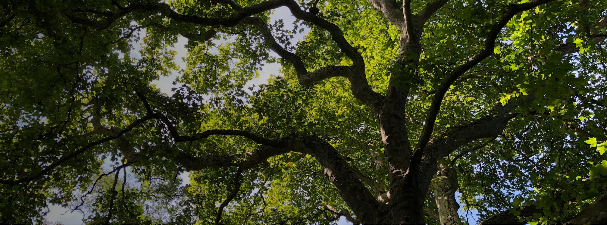 Fête de la nature à Peyrassoulat