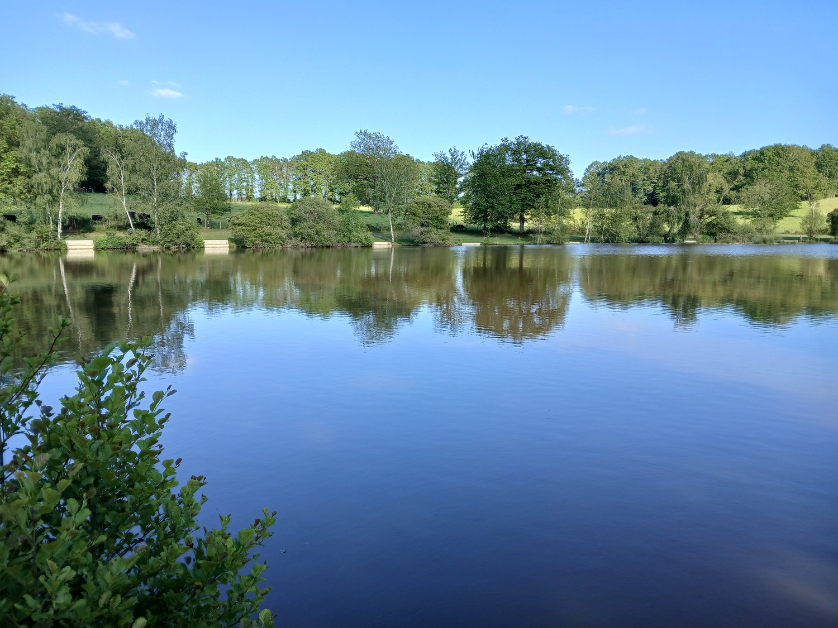 Misterkoï le snack - photo 4