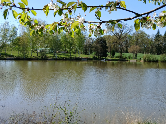 Misterkoï le snack - photo 2