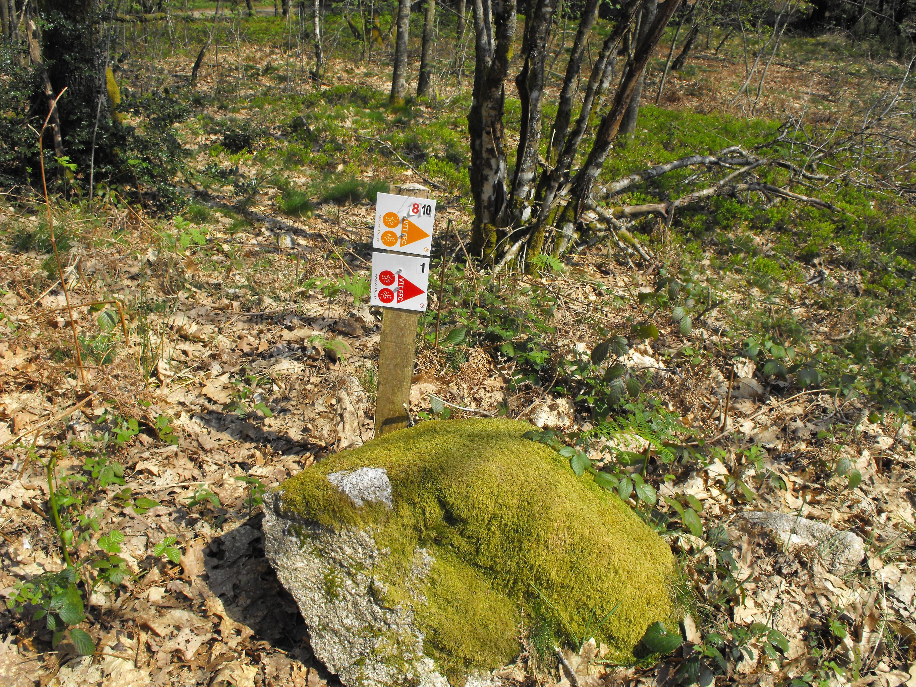 Espace VTT-FFC des Monts du Limousin — photo 3