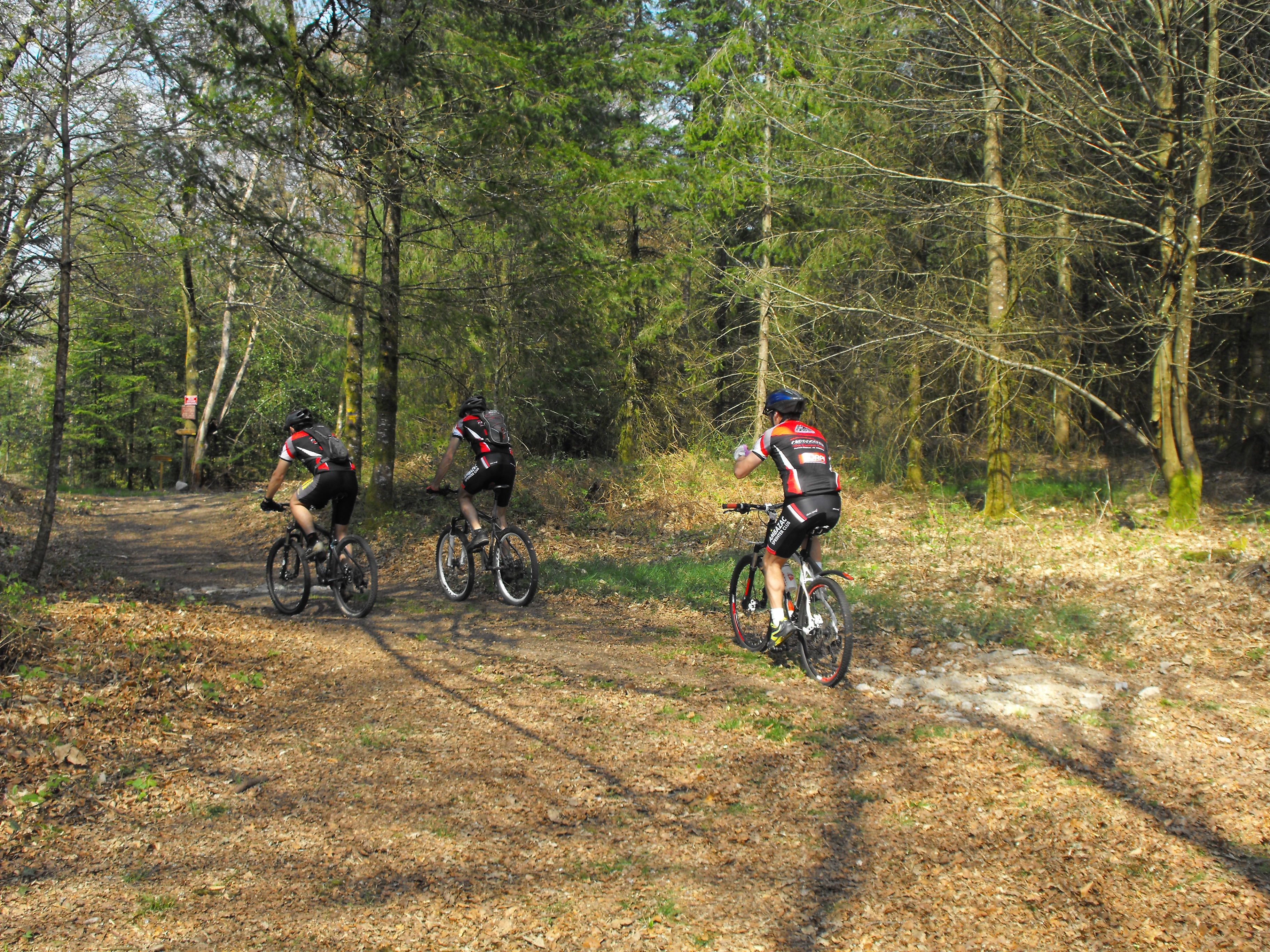 Espace VTT-FFC des Monts du Limousin — photo 2