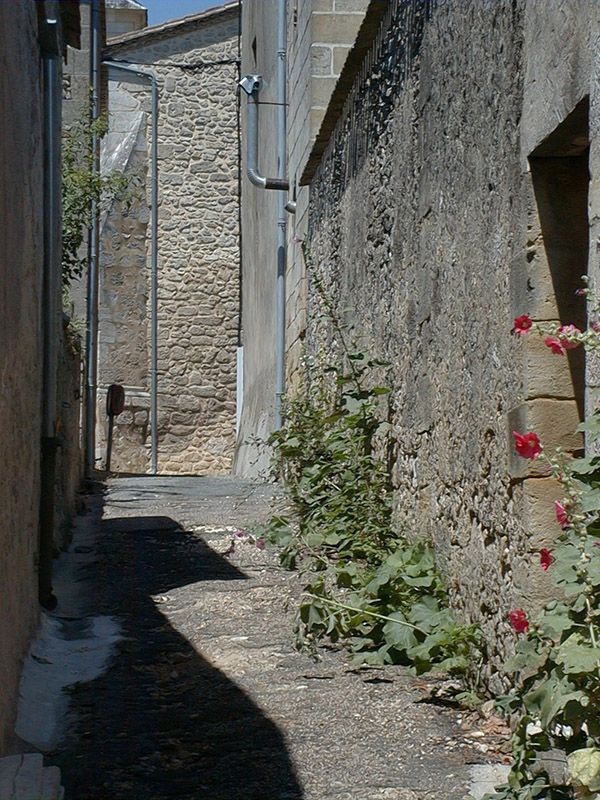 Bastide de Villefranche de Lonchat, Villefranche-de-Lonchat - photo 3