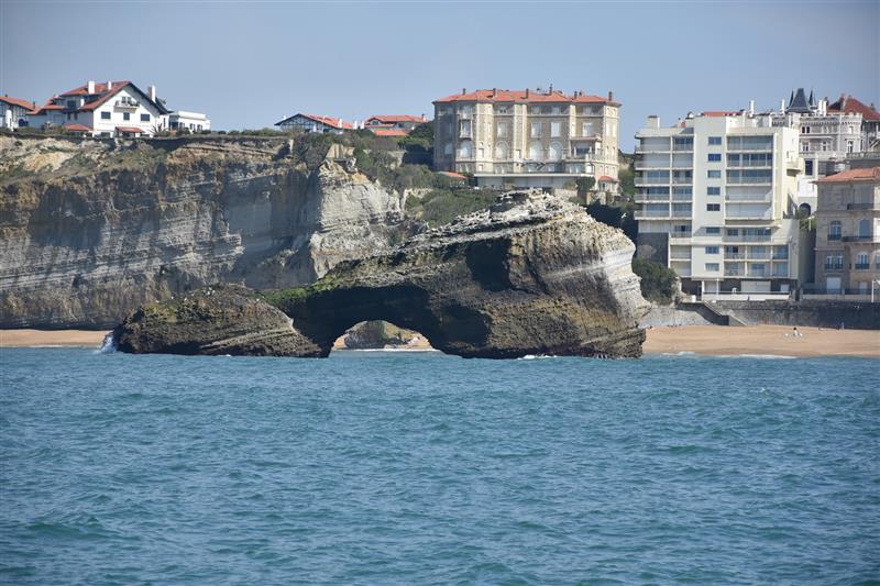 Saint-Ann sorties en mer et observation des dauphins