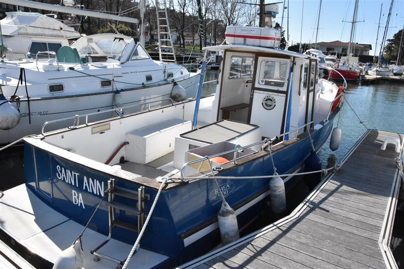 Saint-Ann sorties en mer et observation des dauphins