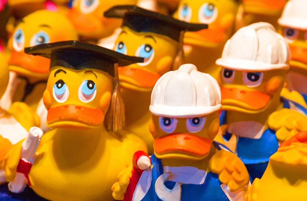 Les Estivales | Course de petits canards — visuel événement