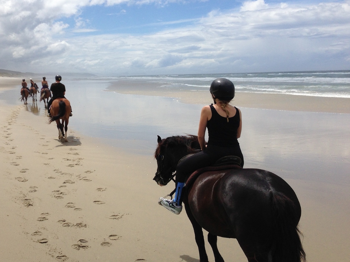 Centre équestre l'Appaloosa - photo 2