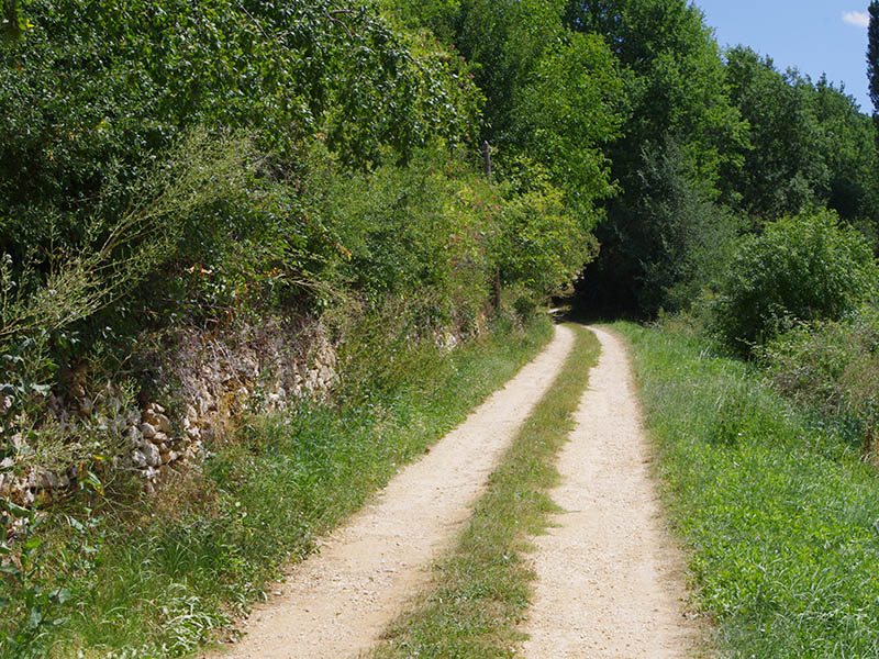 Boucle du Grand Mayme - Beaumontois en Périgord, Beaumontois en Périgord - photo 3