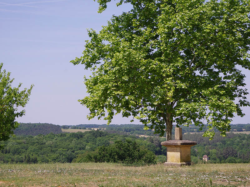Boucle du Grand Mayme - Beaumontois en Périgord, Beaumontois en Périgord - photo 2