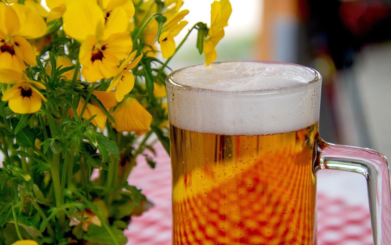 Soirée dégustation : bière Gemm'7