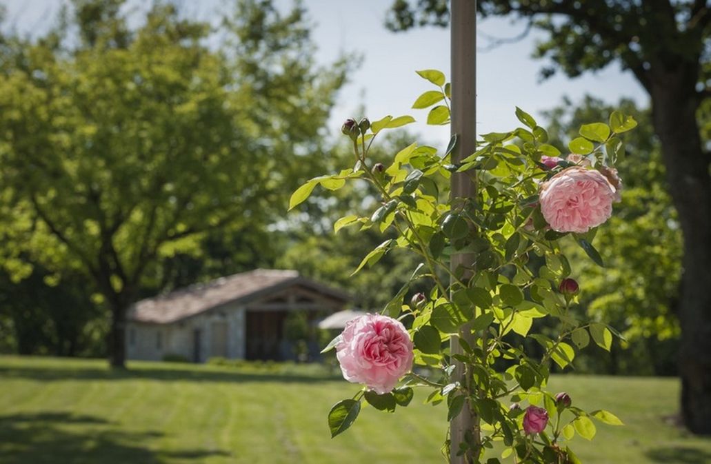 Gîte de Roumaillac : la Bergerie
