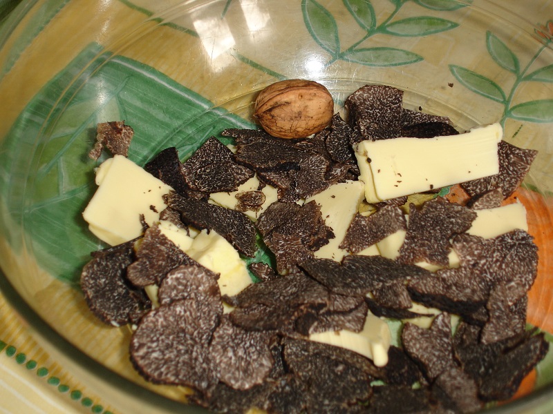 Truffière La Berlandie