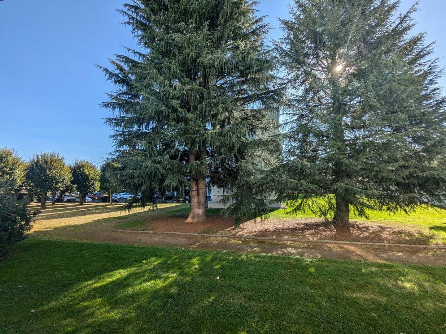 Meublé Capdevielle, Billère - photo 3