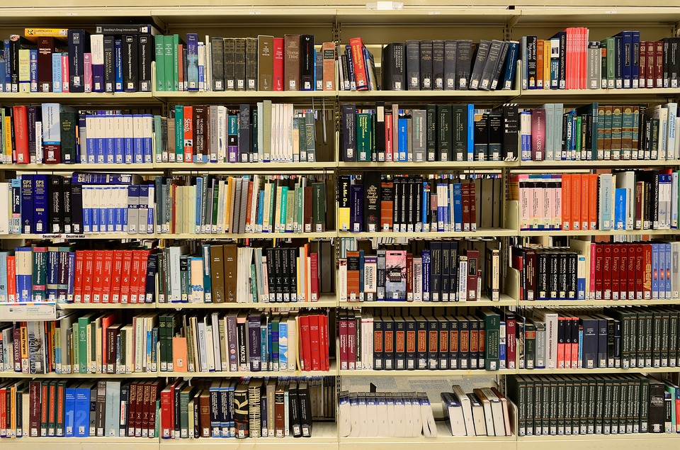 Bibliothèque municipale Gabriel Fauthoux, Saint-Vincent-de-Tyrosse - photo 2