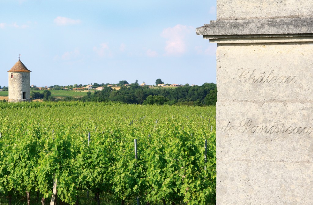 Château de Panisseau - photo 5