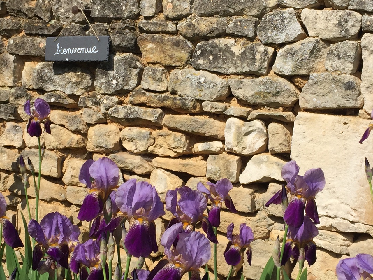 Gîte Nature du Domaine de Puy Le Comte
