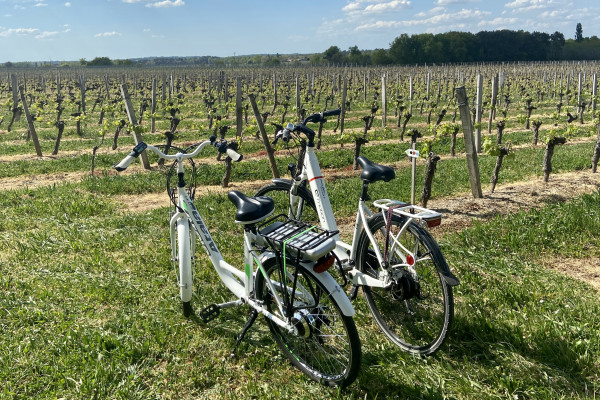Balade en vélo électrique autour du Château Réaut