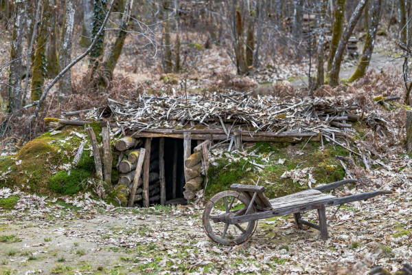 Visite guidée du Maquis de Durestal, Val de Louyre et Caudeau - photo 2