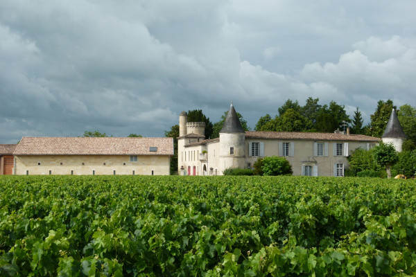 Visite classique : de la vigne au verre