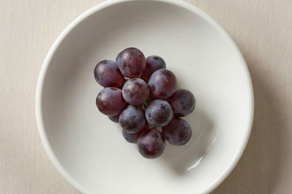 Château Plain Point - Secrets de cépages