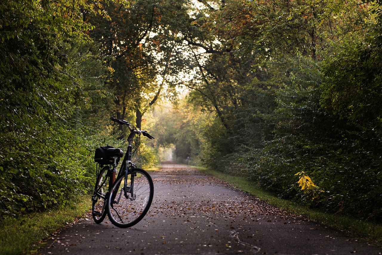 Bella'Cycles - Location de vélos à assistance éléctrique — Prestataires d'activités à Haute-Vienne