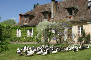 Ferme Auberge de Biorne