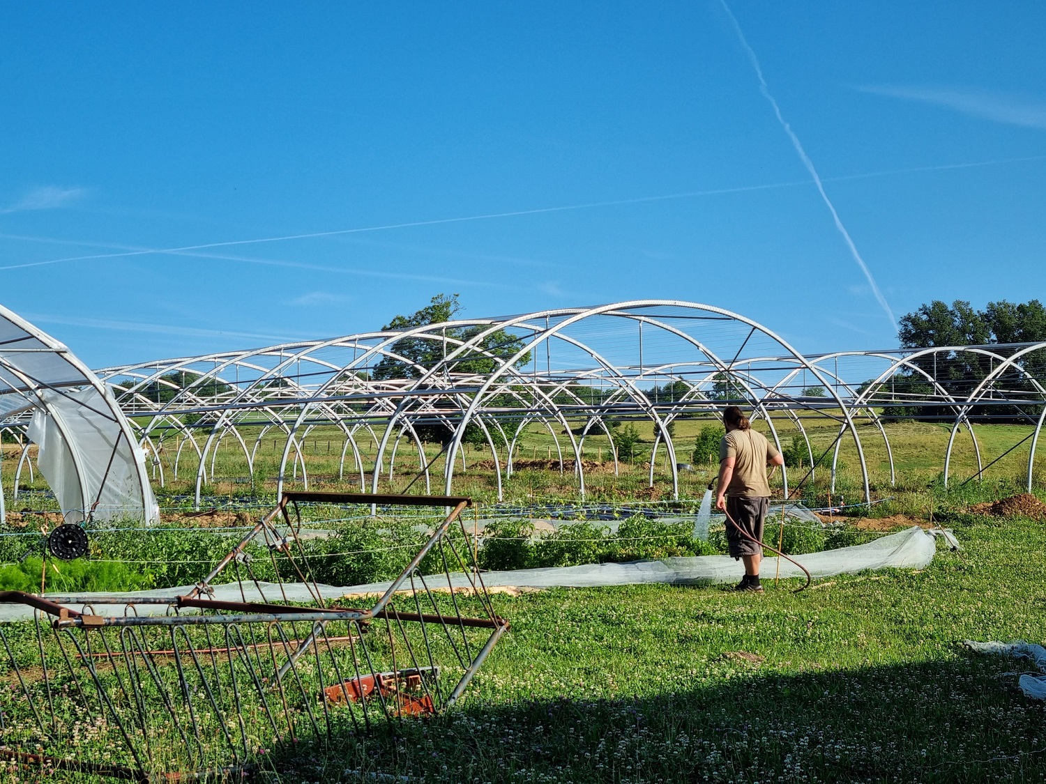 Les jardins de bio-sol'eil — photo 3