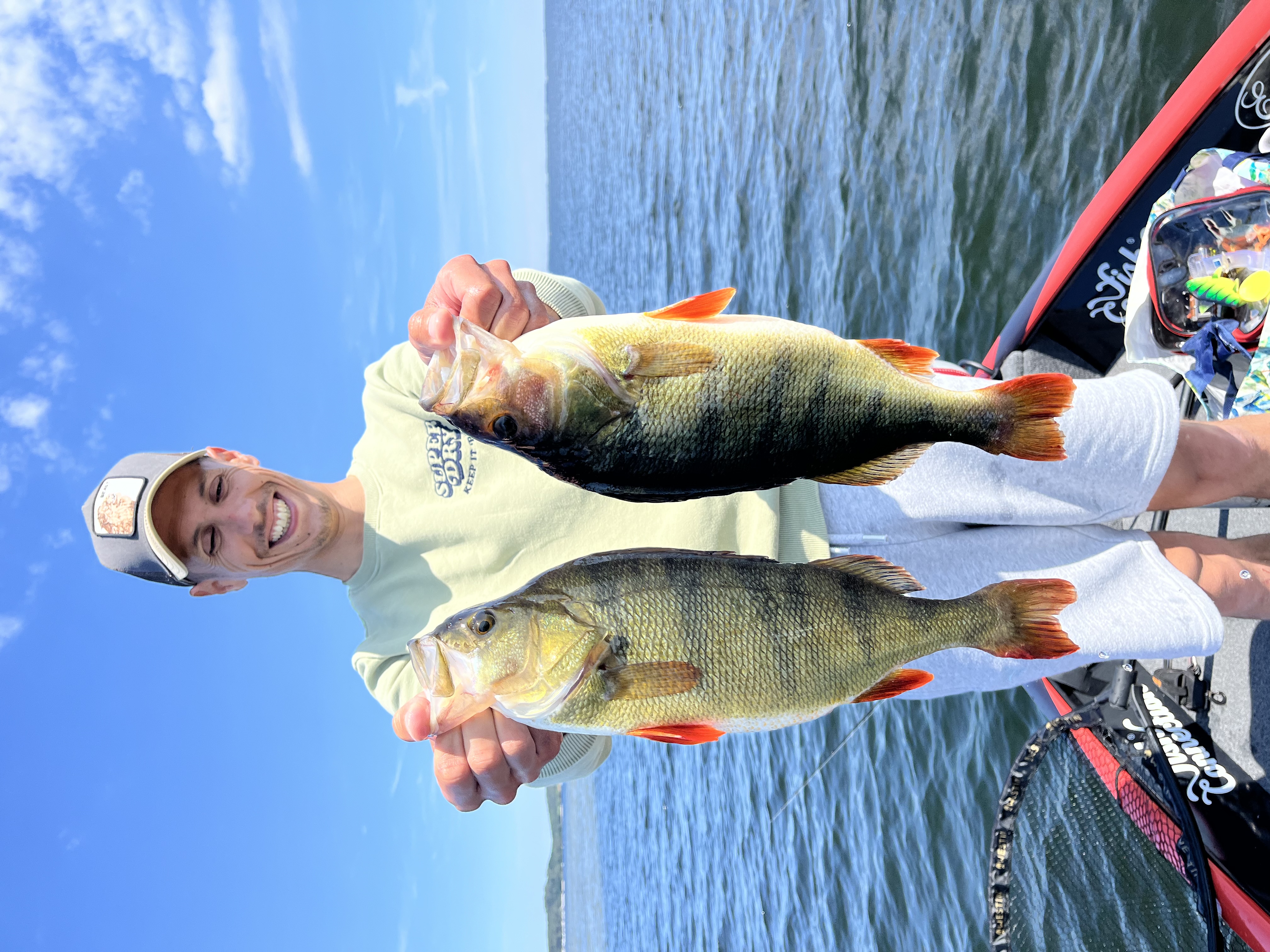 Cognacq Fishing Guide, Biscarrosse - photo 2