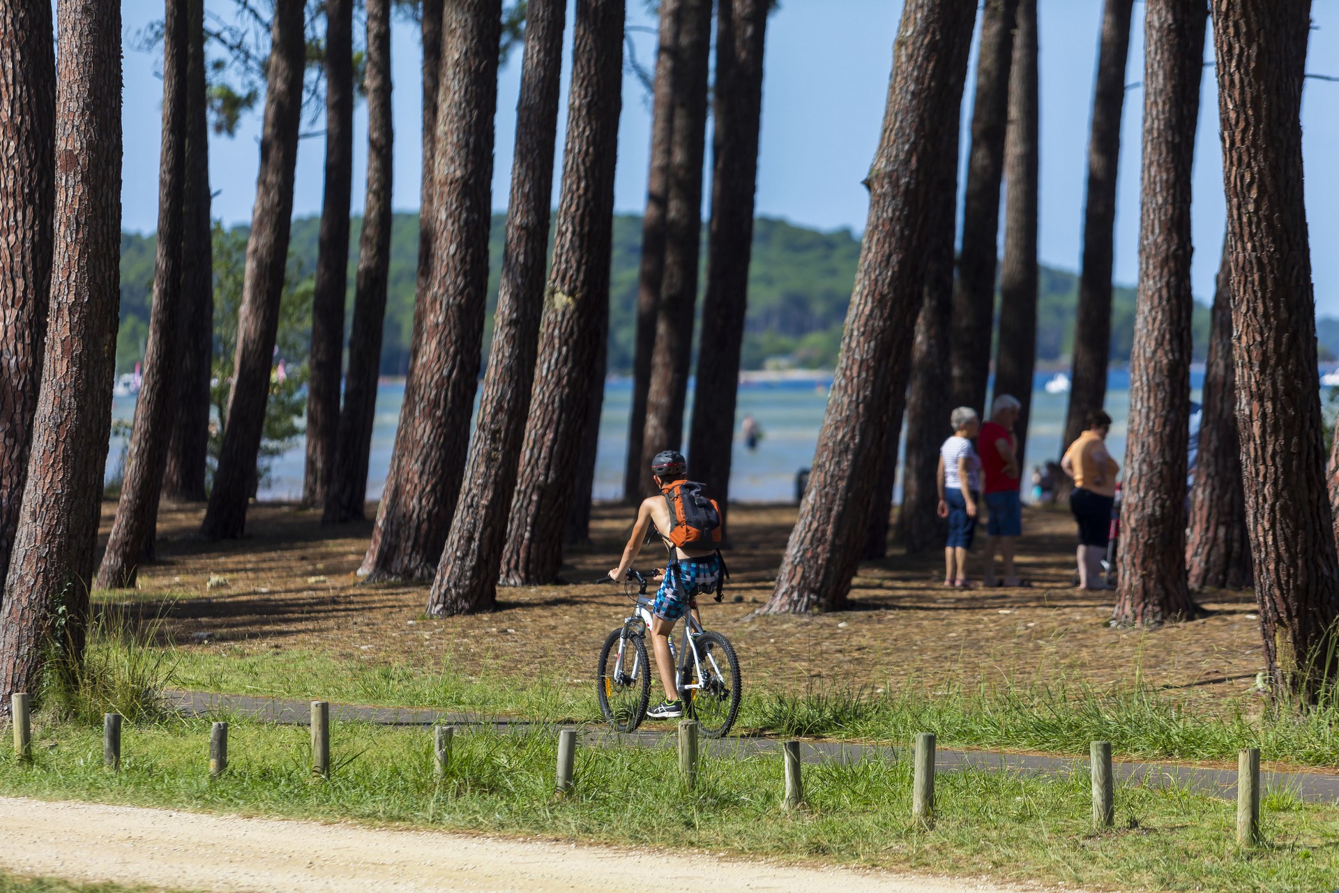 De Navarrosse à Sanguinet, Biscarrosse - photo 2