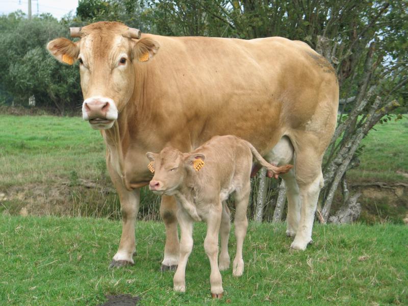 Ferme Bien Aimée