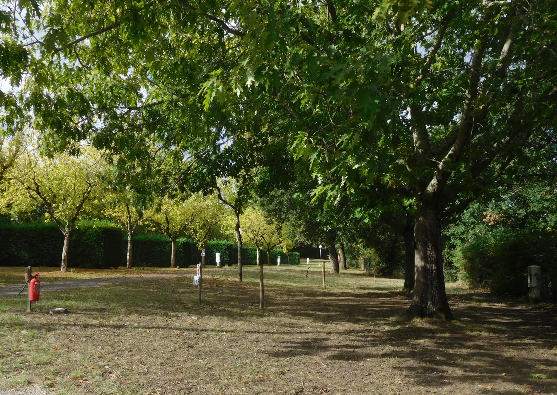 Camping du Lac de Damazan - photo 3