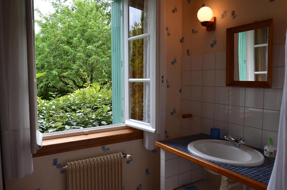 Le Vieux Pommier, Bourgougnague - photo 11