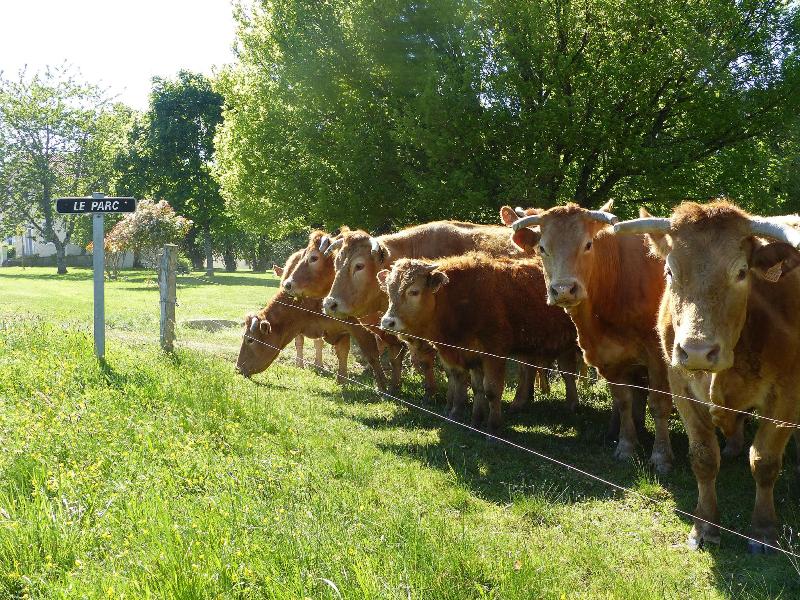 La Ferme du Parc, Saint-Étienne-de-Puycorbier - photo 8
