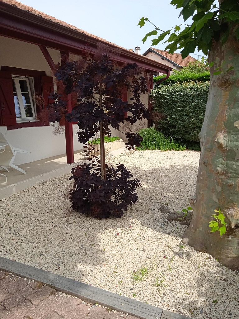 Maison Calanques, Vieux-Boucau-les-Bains - photo 10