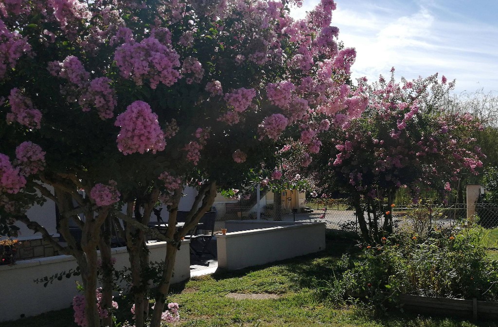 Maison au coeur du Périgord Pourpre, Varennes - photo 13