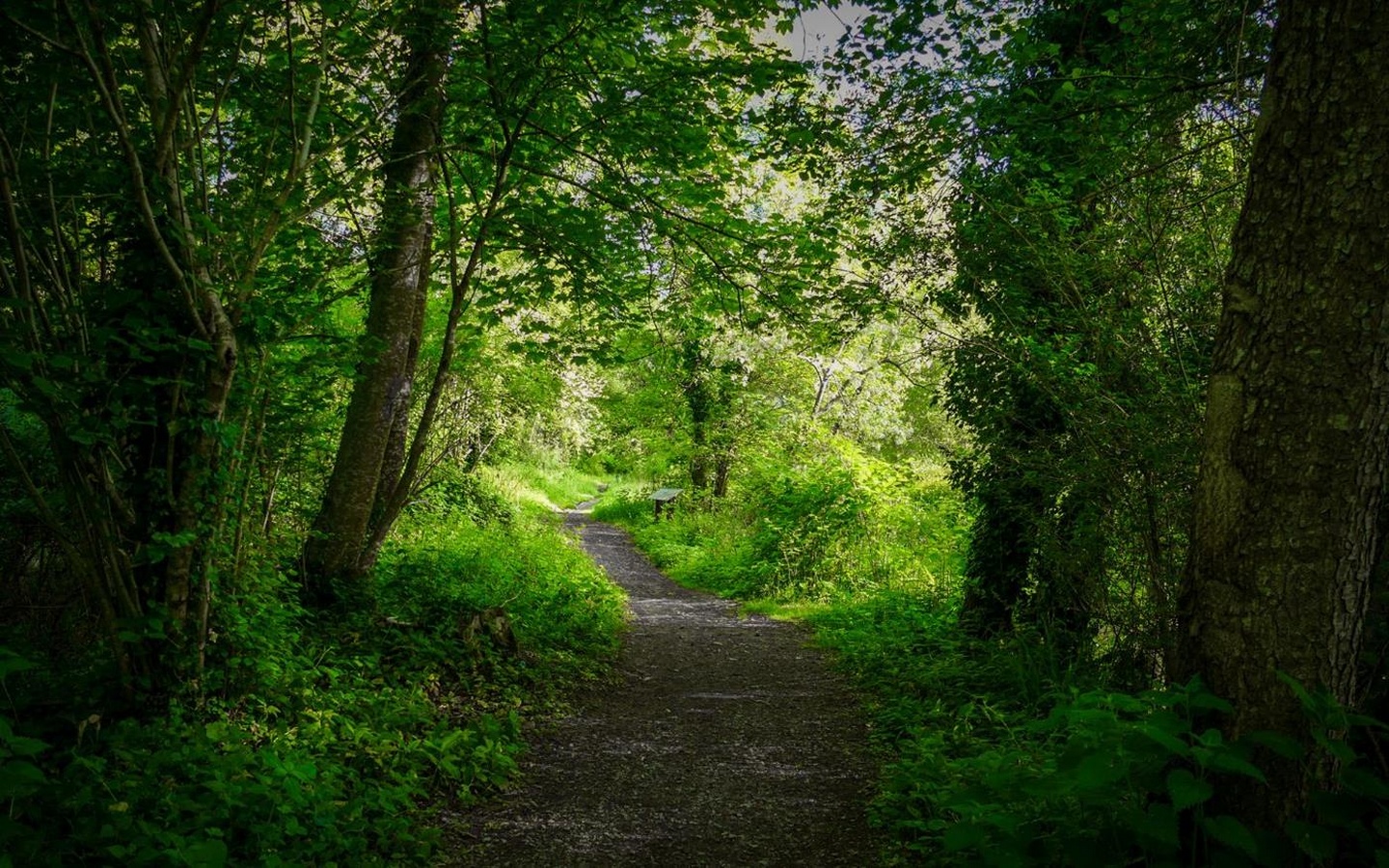 Balade à Roulettes n°3 : Baudreix entre gave et lac