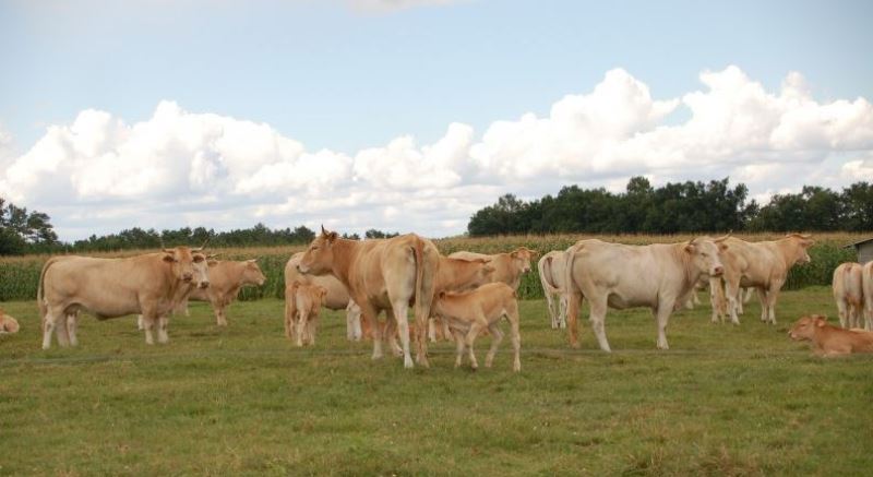 La Ferme du Clercq
