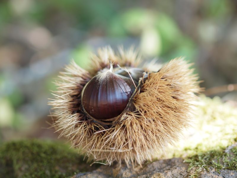 Domaine de Rapatel - photo 2