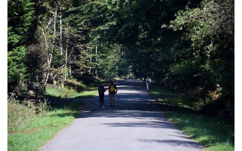 Forêt domaniale de Bastard