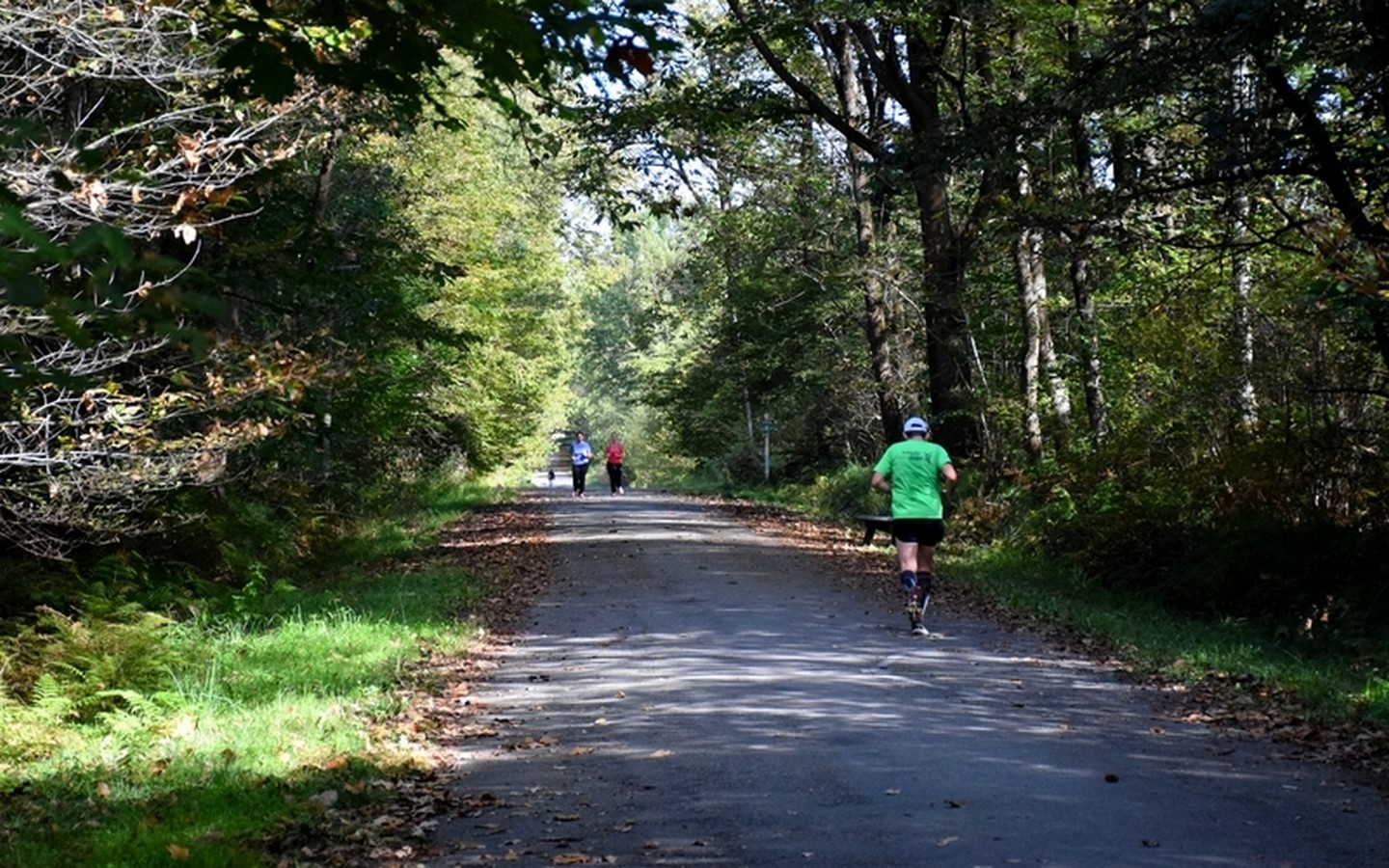 Balade à Roulettes n°38 : La forêt de Bastard à Pau