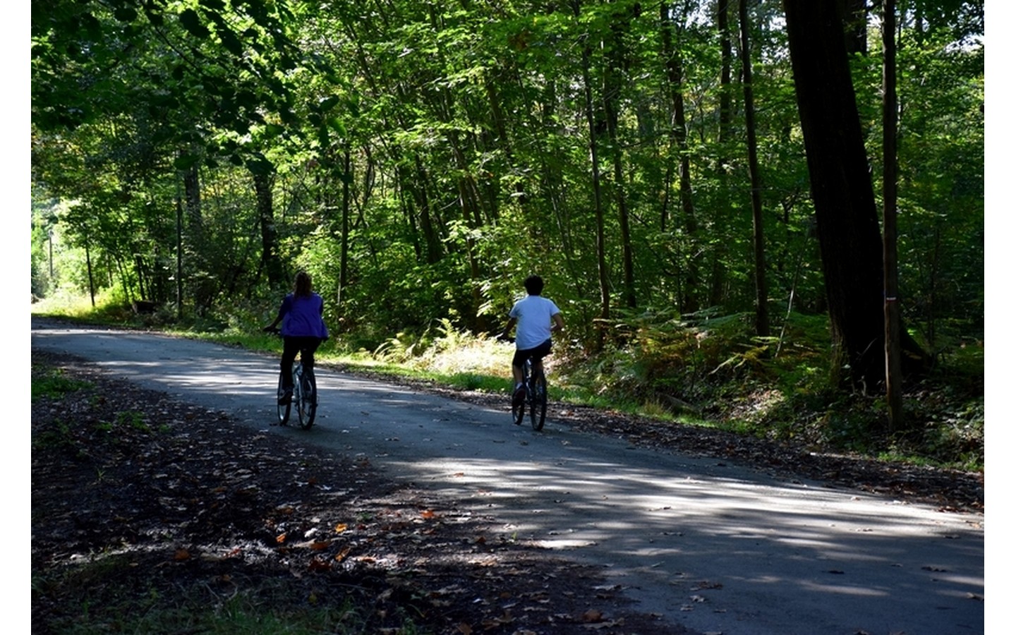 Balade à Roulettes n°38 : La forêt de Bastard à Pau - photo 2
