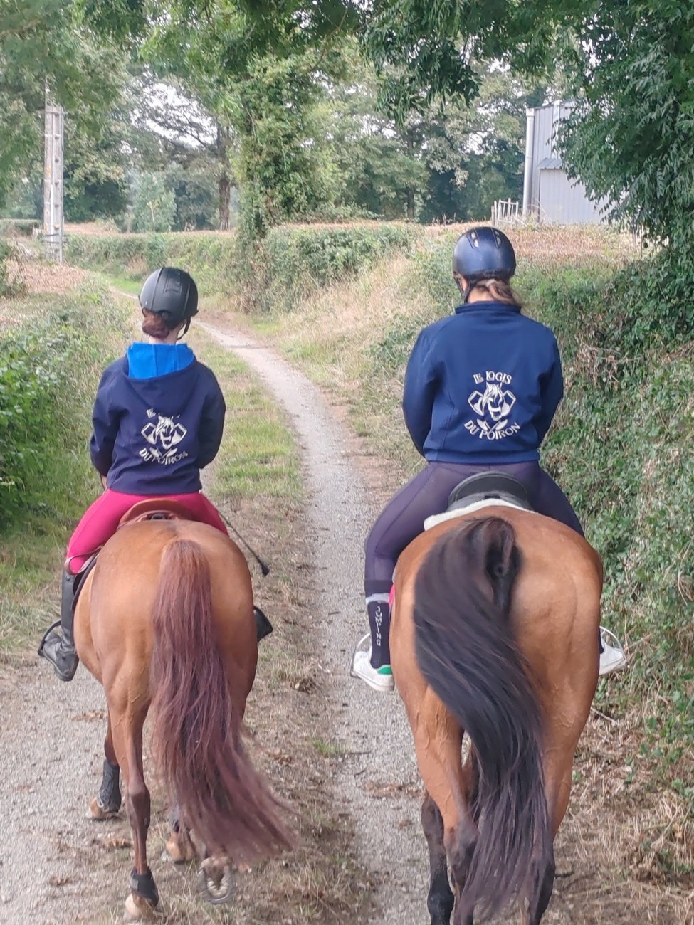 Le Logis du Poiron - Balades à cheval & Promenades à poneys