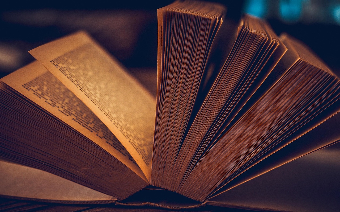 Fête du livre — visuel événement