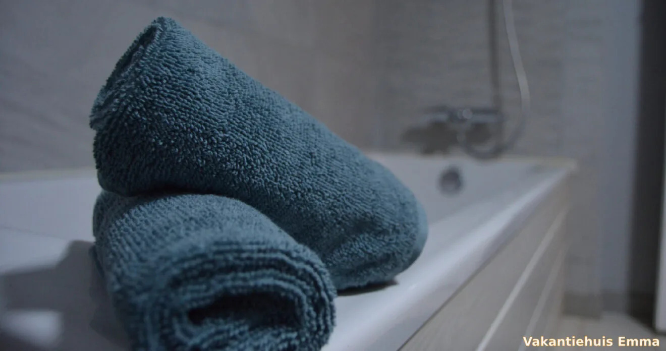 Gîte Emma, Monflanquin - photo 4