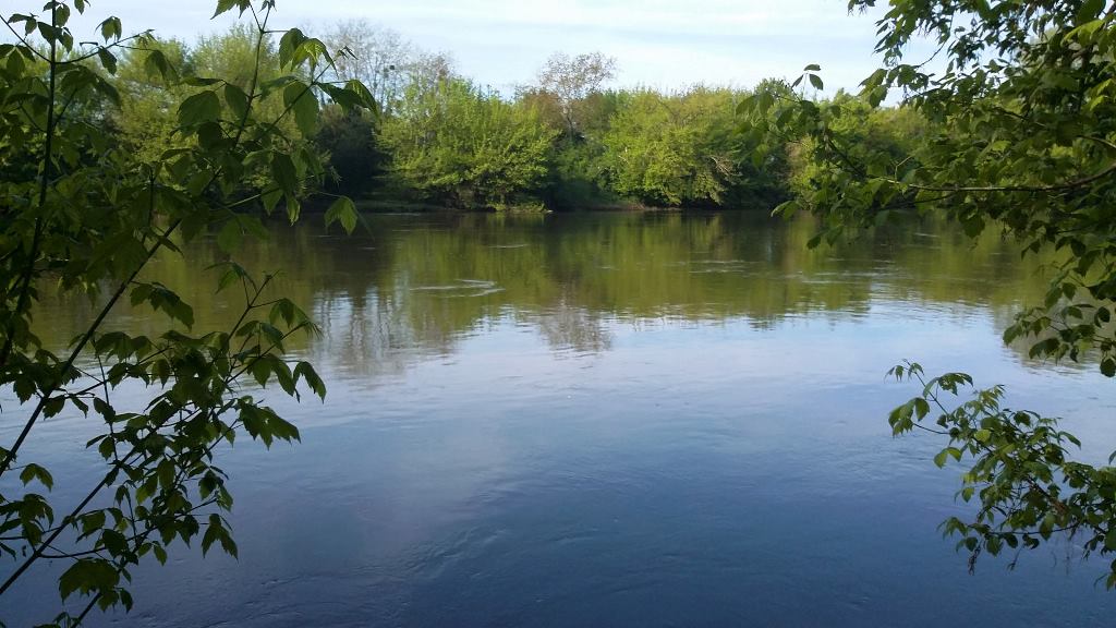 Chez Véronique, Lamothe-Montravel - photo 7