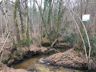 Boucle du Brousteyrot - photo 5