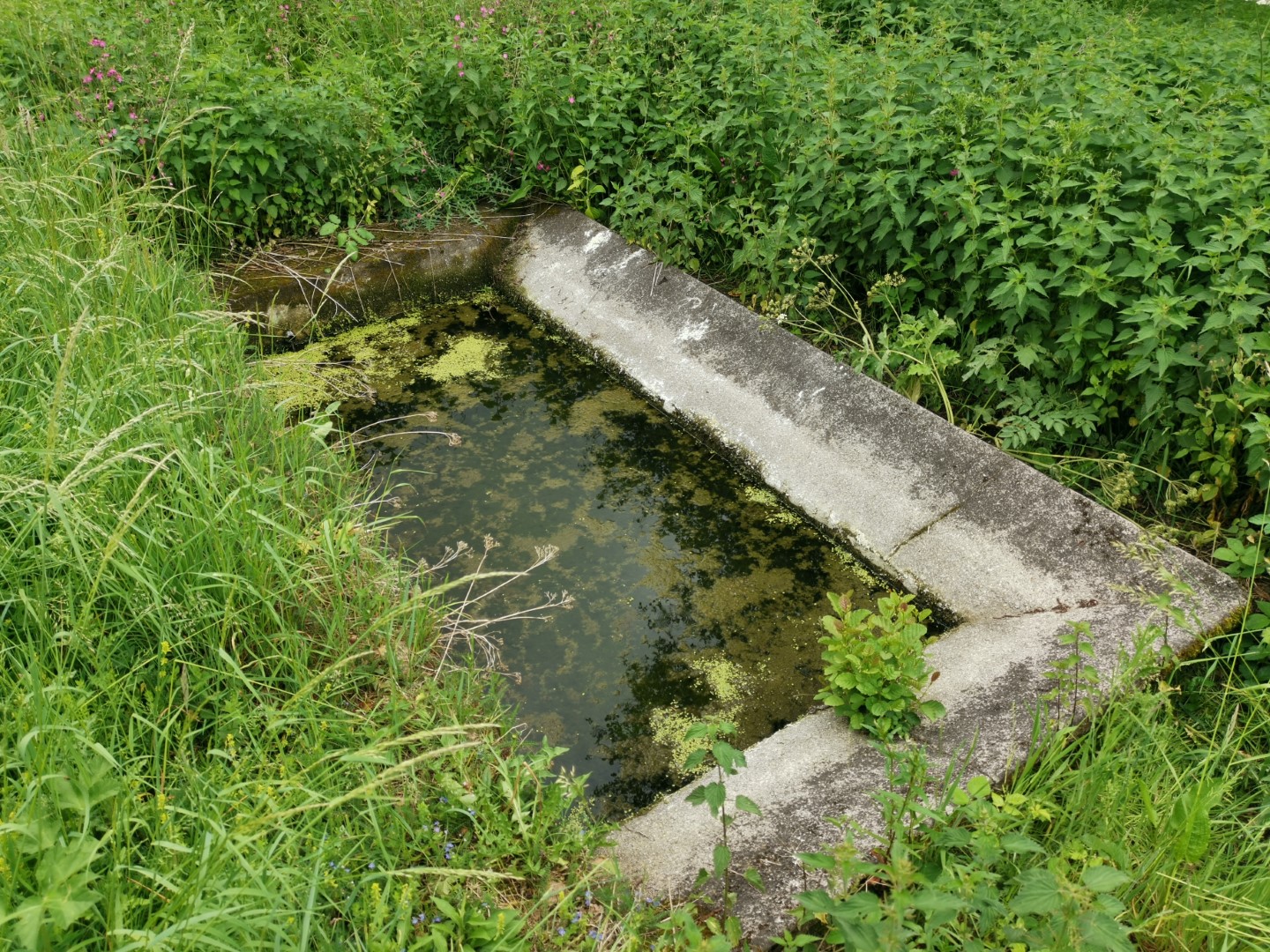Boucle Locale N°52 Sardent et la vallée de la Gosne, Sardent - photo 4